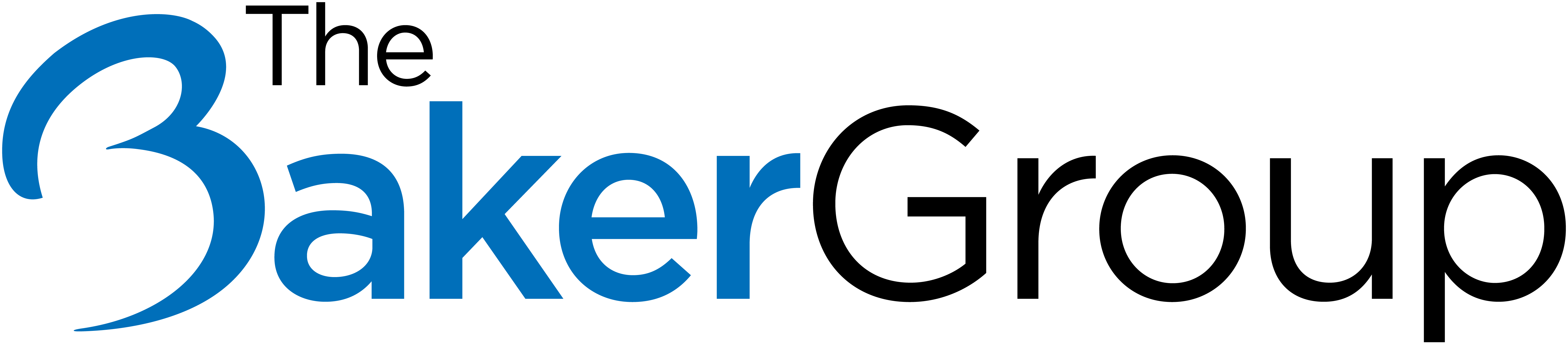The Baker Group