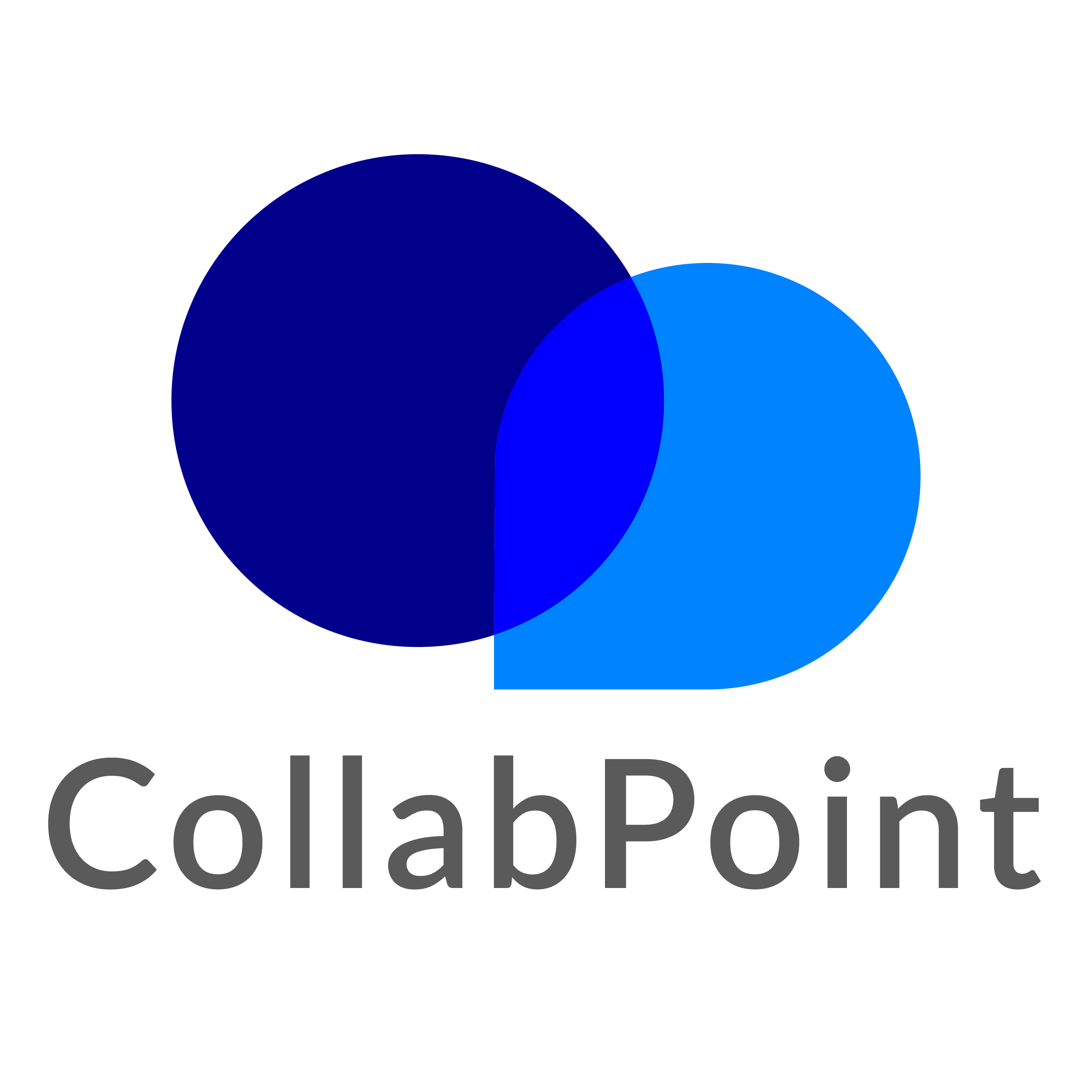 CollabPoint LLC